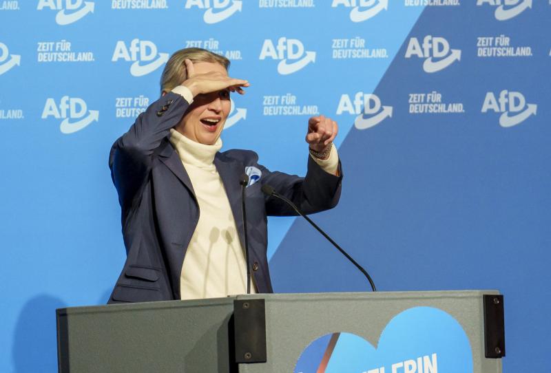 Az AfD jelentős kampánytámogatást kapott Ausztriából, amelynek összege milliós nagyságrendű.