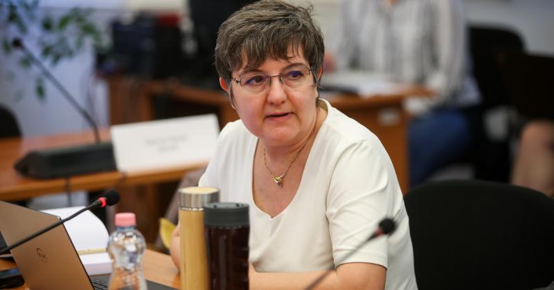 V. Naszályi Márta bejelentette, hogy elhagyja a Párbeszéd-Zöldek Pártot.