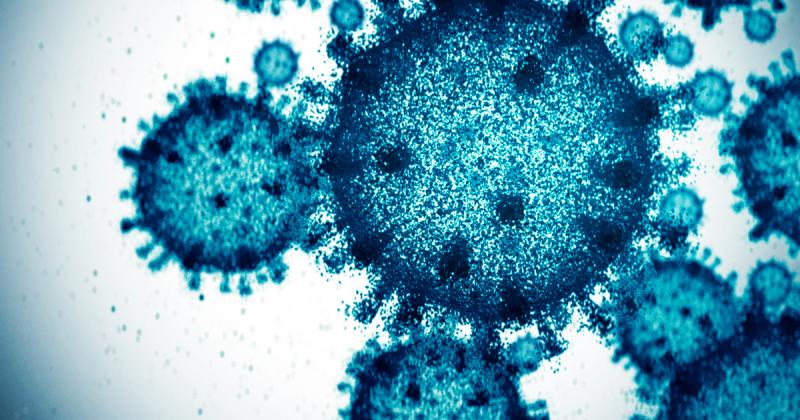 A határvidéken tűnt fel a rettegett vírus Magyarországon, ami eddig ismeretlen volt ezen a tájon.